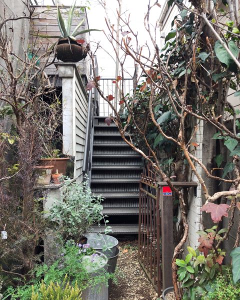 冬でも素敵なブロカントさんの庭 Shinterior Tokyo シンテリア ドット トーキョー