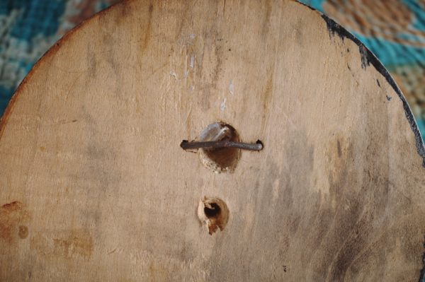 鹿角ハンティングトロフィー