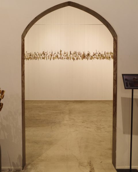 casica 新木場 ショップ