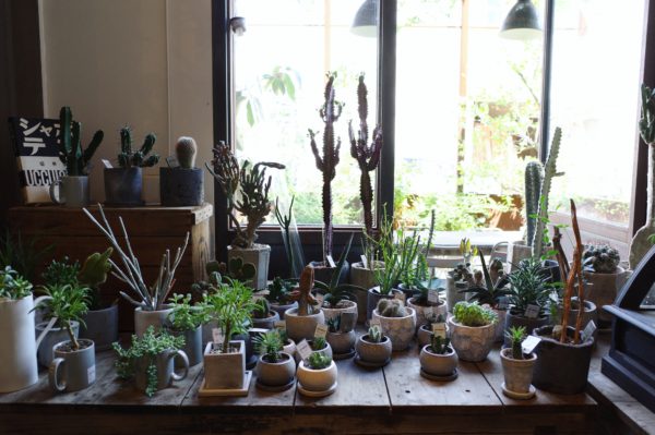 casica 新木場　グリーン