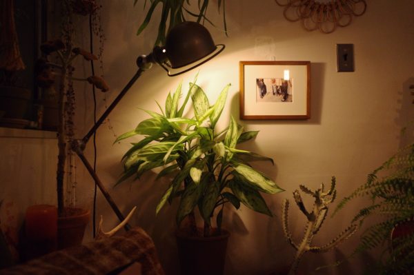 エジソンバルブ　白熱灯　違い