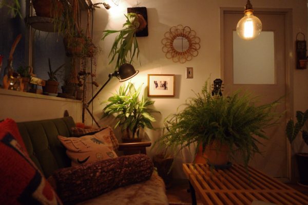 エジソンバルブ　白熱灯　違い