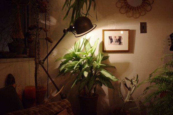 エジソンバルブ　白熱灯　違い