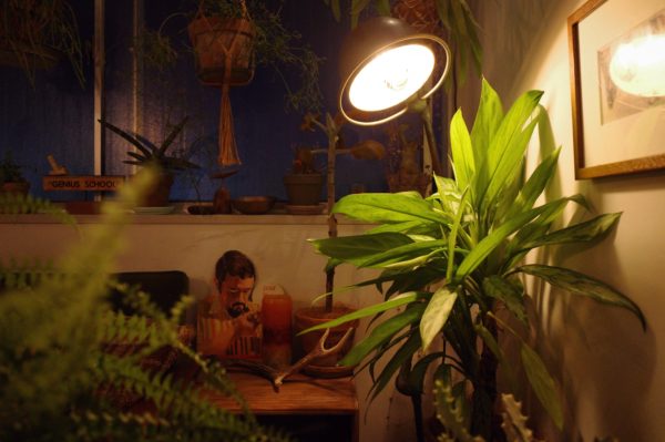 エジソンバルブ　白熱灯　違い