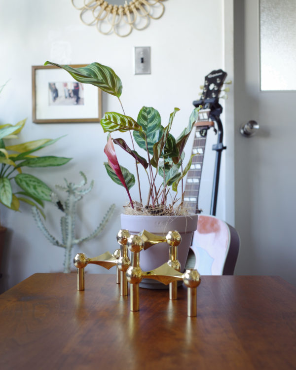 STOFF Nagel ディスプレイ