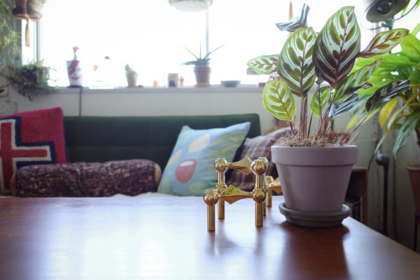 STOFF Nagel ディスプレイ