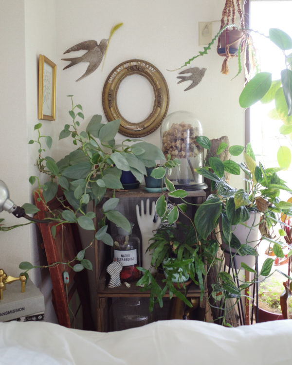 ウォールデコレーション　植物