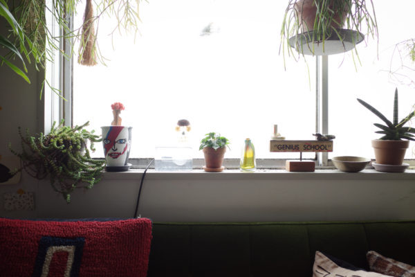 ピレア・カディエレイ　窓際