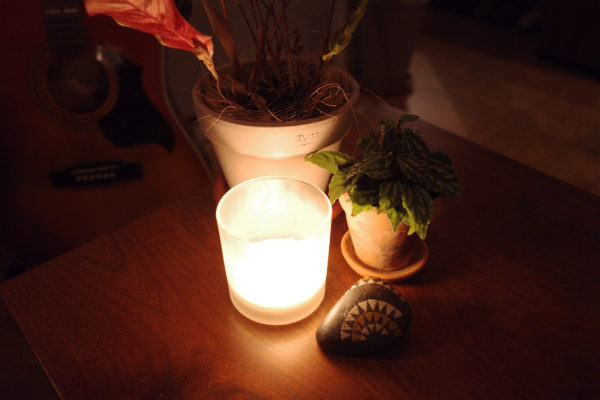 ピレア　飾り方